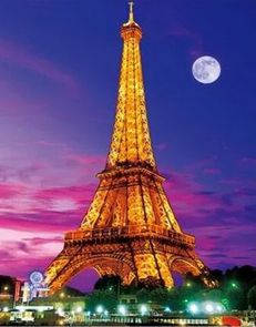 Холст 30х40см 7862 Ночной вид на Эйфелеву башню с красками Рыжий кот