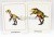 Обучающие карточки Динозавры картон  — продажа оптом и в розницу в интернет-магазине игрушек «Флинт»